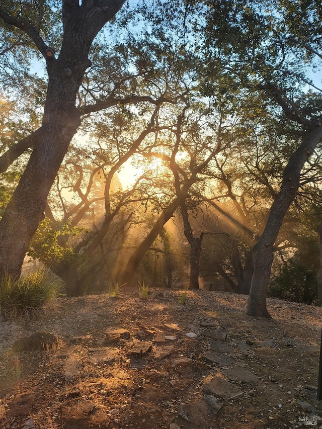 view of nature at dusk