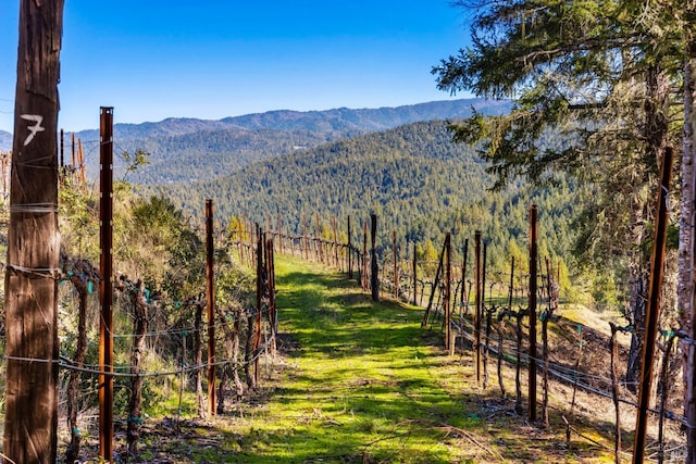 property view of mountains