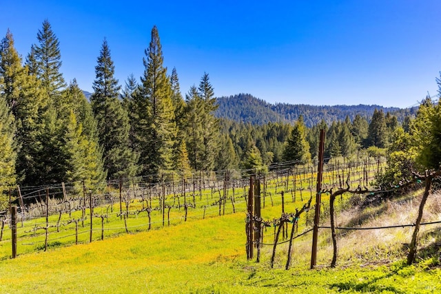 view of mountain feature featuring a rural view