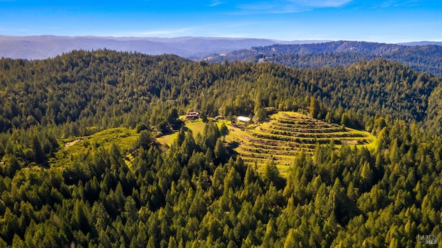 bird's eye view featuring a mountain view