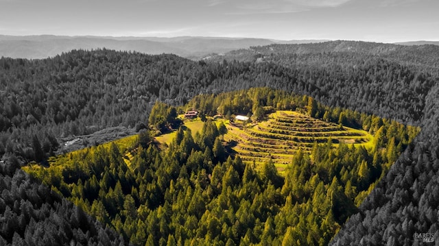 birds eye view of property featuring a mountain view