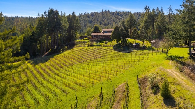 drone / aerial view featuring a rural view