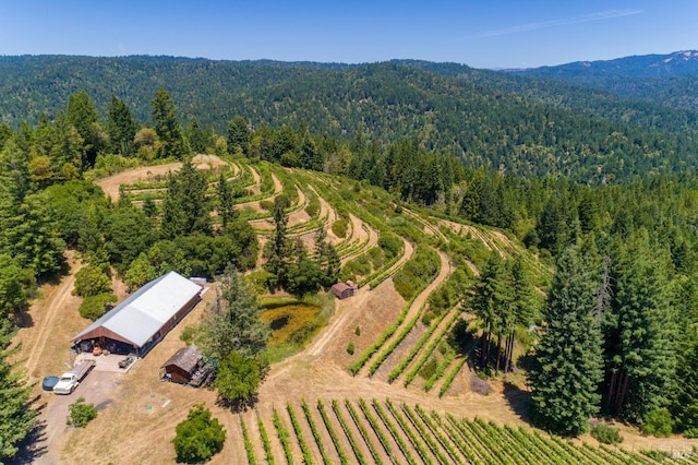 bird's eye view with a rural view