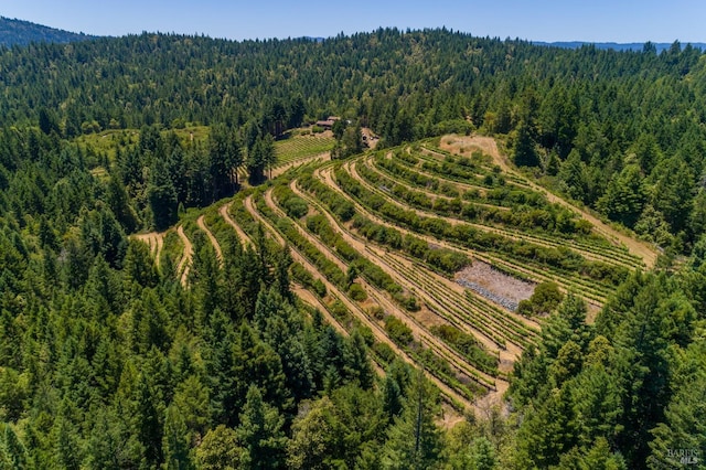 aerial view with a rural view