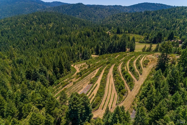 birds eye view of property with a mountain view