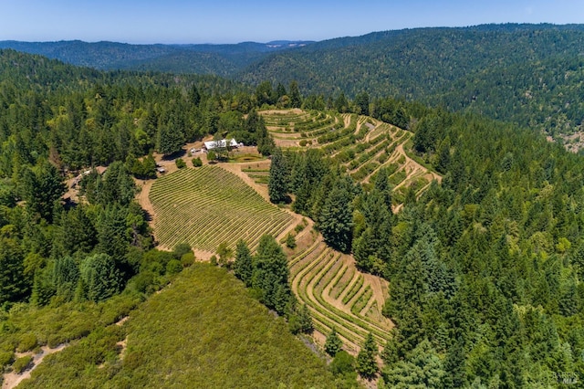 birds eye view of property with a rural view