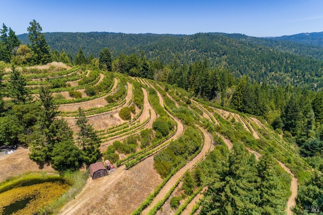 birds eye view of property featuring a rural view