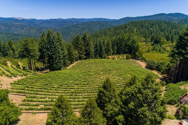 view of mountain feature featuring a rural view