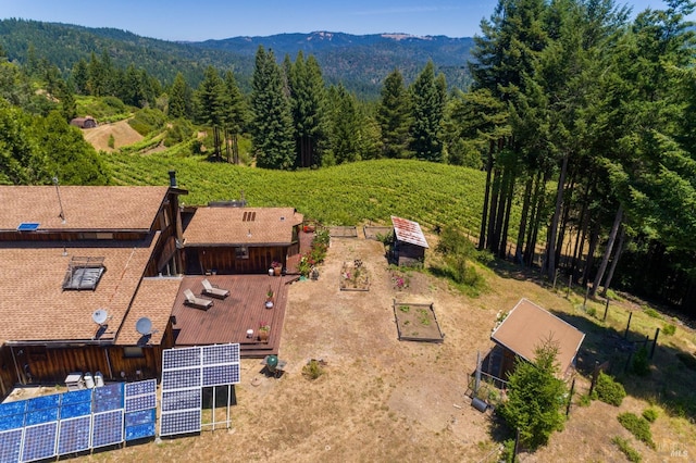 birds eye view of property featuring a mountain view