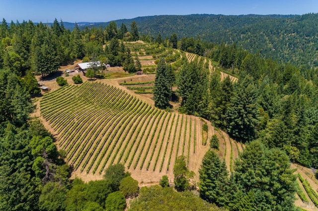 birds eye view of property featuring a rural view