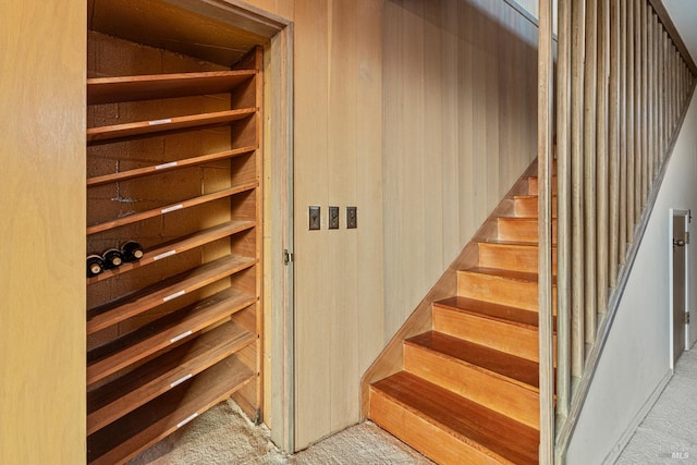 staircase featuring carpet floors