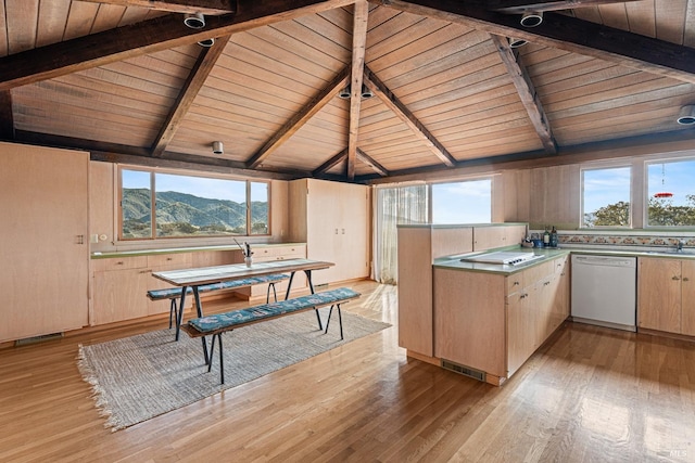 kitchen with a mountain view, dishwasher, wood ceiling, and light hardwood / wood-style flooring