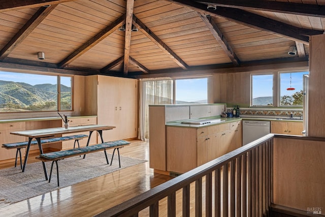 kitchen with a wealth of natural light, a mountain view, and light hardwood / wood-style floors