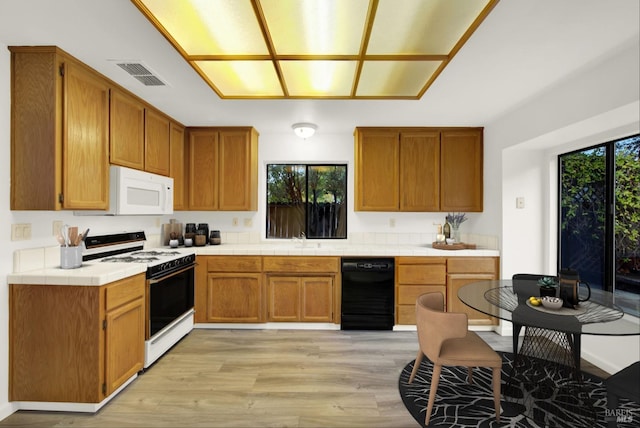 kitchen with light hardwood / wood-style flooring, a healthy amount of sunlight, white appliances, and sink