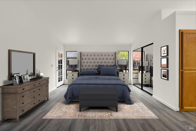 bedroom featuring lofted ceiling and dark wood-type flooring