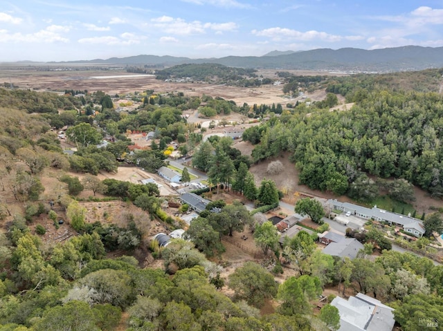 drone / aerial view with a mountain view