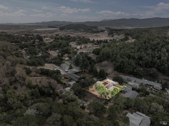 drone / aerial view with a mountain view