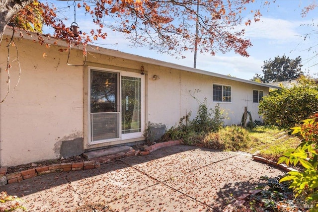 back of property with a patio and stucco siding