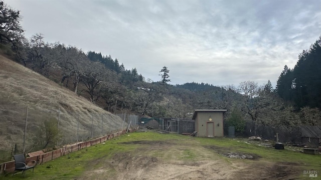 view of yard featuring a storage shed