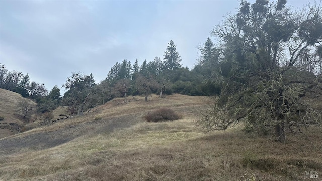 view of landscape featuring a rural view