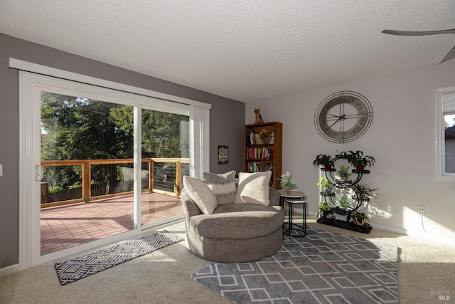 sitting room with dark carpet and a textured ceiling