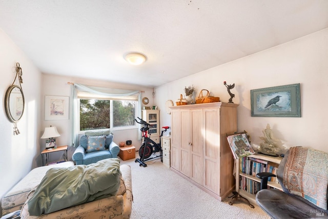 sitting room with light colored carpet