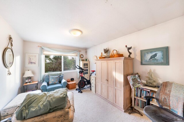 sitting room with light colored carpet