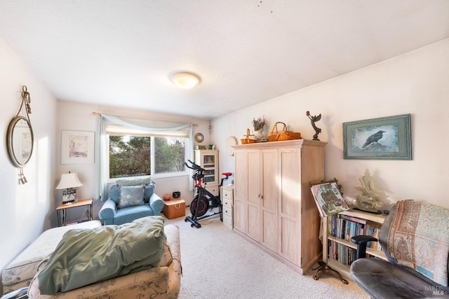 bedroom featuring light carpet