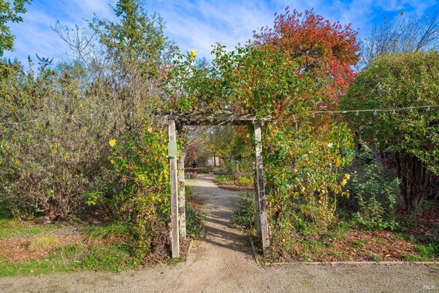 view of gate with a pergola