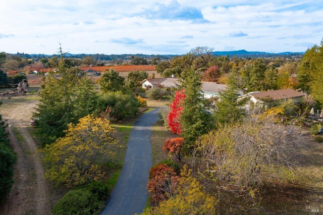 drone / aerial view featuring a mountain view