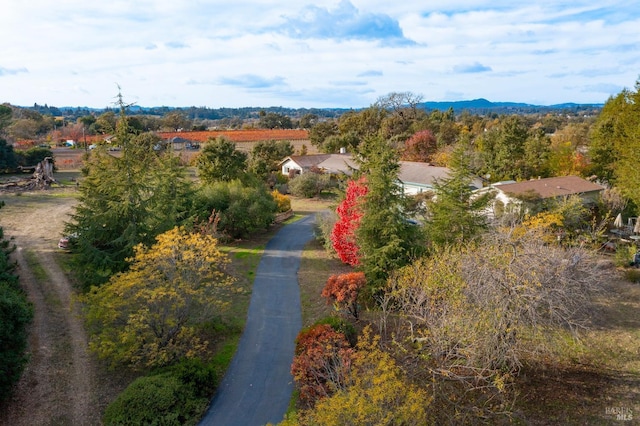 bird's eye view