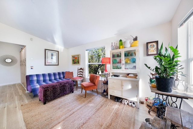 living room with lofted ceiling and light wood-type flooring