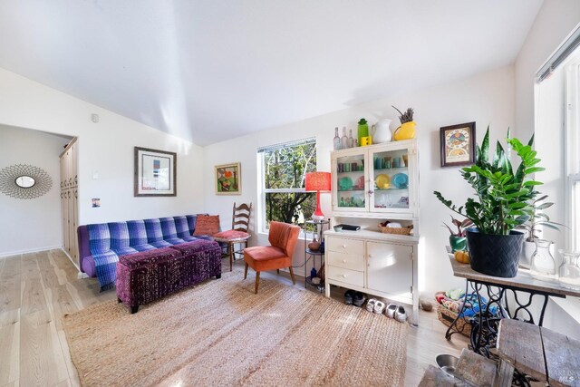 living room with lofted ceiling and light wood-type flooring