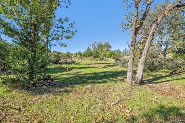 2730 Bennett Ridge Rd, Santa Rosa CA, 95404 land for sale