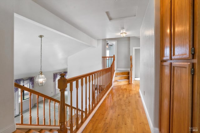 corridor featuring light hardwood / wood-style flooring