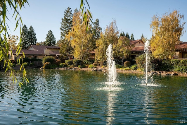 water view