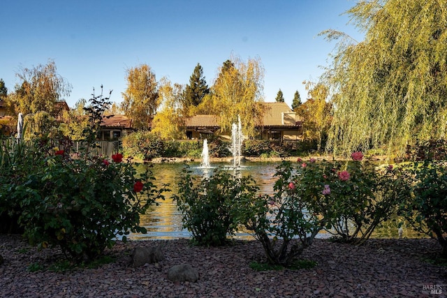 view of home's community