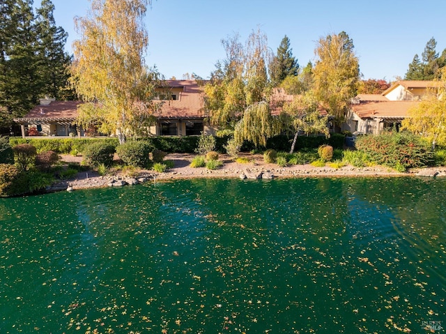 water view