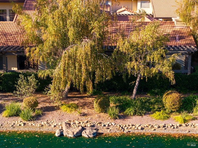13 Fountain Grove Cir, Napa, CA 94558 - view of yard featuring a pergola