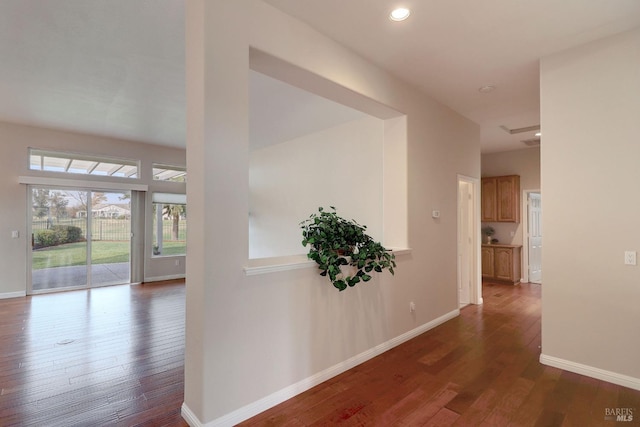 hall featuring dark hardwood / wood-style floors