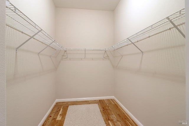 walk in closet featuring wood-type flooring