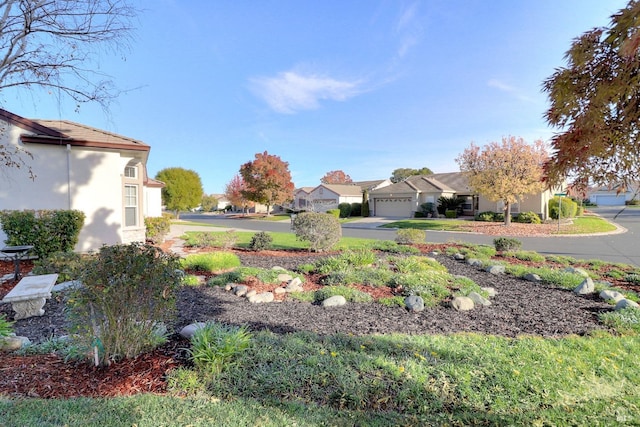 view of yard with a garage