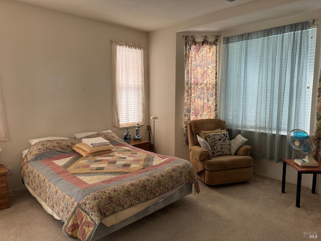 bedroom with carpet