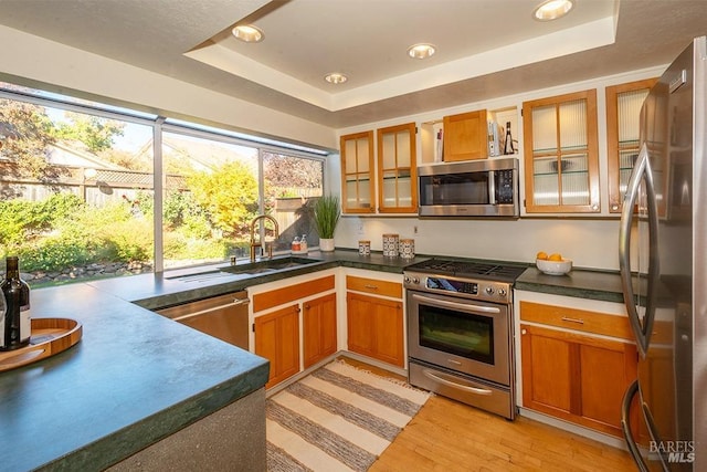 kitchen featuring appliances with stainless steel finishes, light wood-type flooring, a raised ceiling, and sink