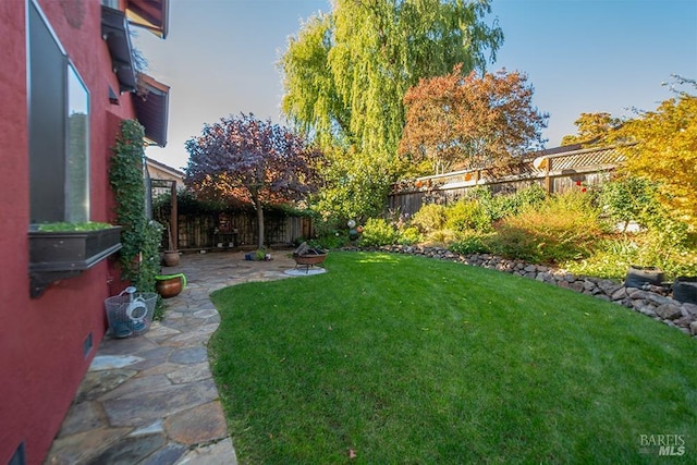 view of yard featuring a patio area