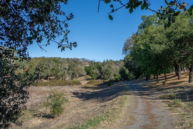 view of road with a rural view