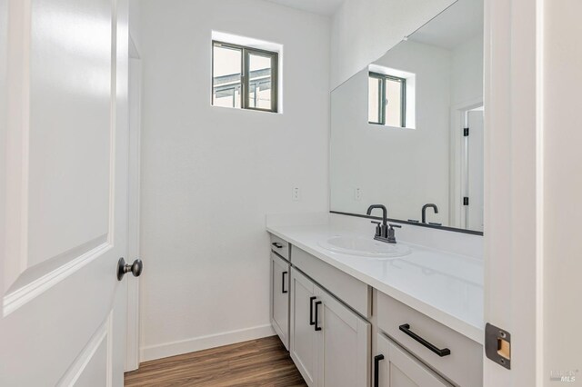 bathroom featuring a healthy amount of sunlight, baseboards, vanity, and wood finished floors