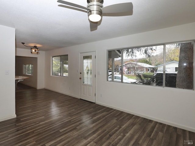 entrance foyer with plenty of natural light, dark hardwood / wood-style flooring, and ceiling fan with notable chandelier