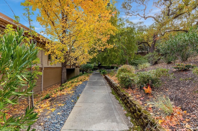 3473 Tice Creek Dr Unit 1, Walnut Creek, CA 94595 - view of property's community