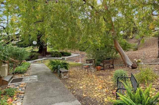 3473 Tice Creek Dr Unit 1, Walnut Creek, CA 94595 - view of community